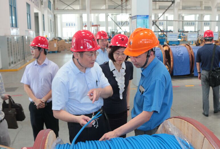 2016年7月22日，瀘州市委常委、副市長(zhǎng)王建翔一行來(lái)上上電纜參觀考察