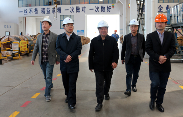 2015年3月26日，江蘇省射陽縣領導一行來上上電纜視察